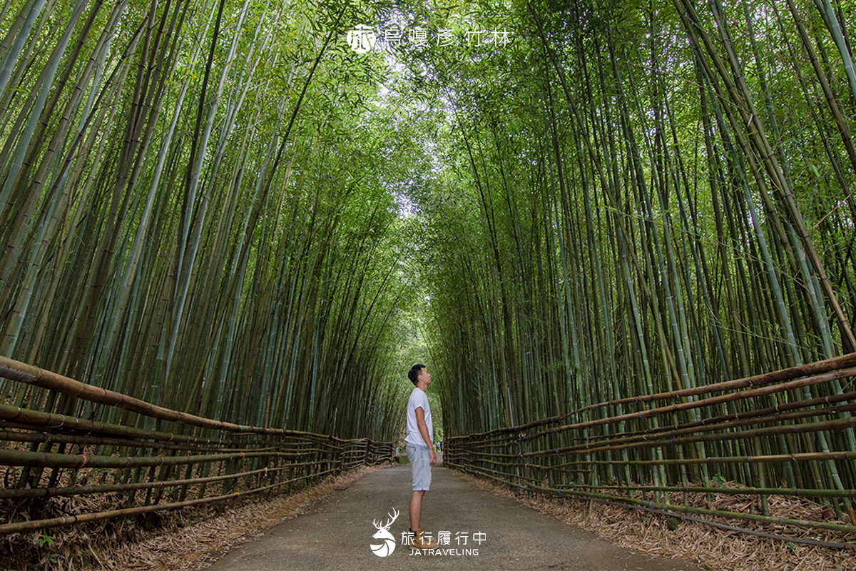 【苗栗景點推薦】泰安烏嘎彥竹林，漫步在綠蔭竹林之中，宛如身在日本嵐山