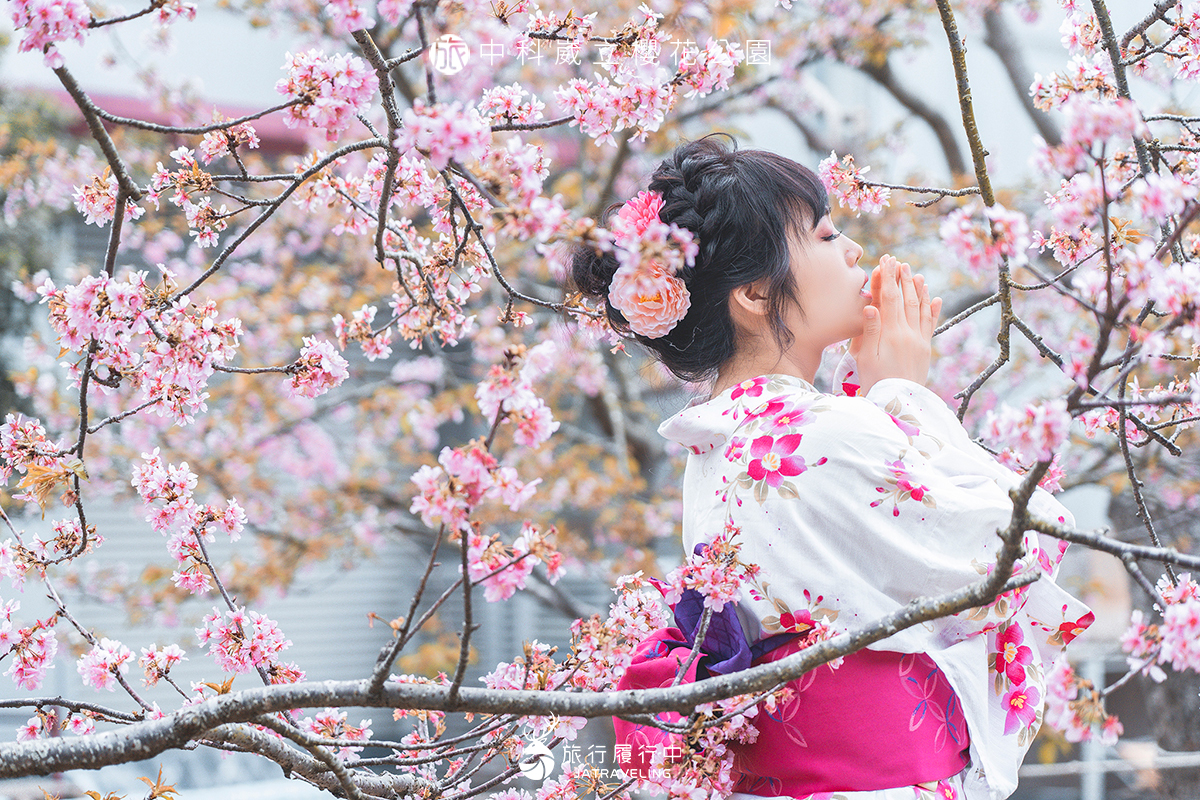【台中景點推薦】中科崴立櫻花公園，看著桃紅與雪白色的櫻花覆蓋天際【2022更新】 - 三月, 二月 - 旅行履行中