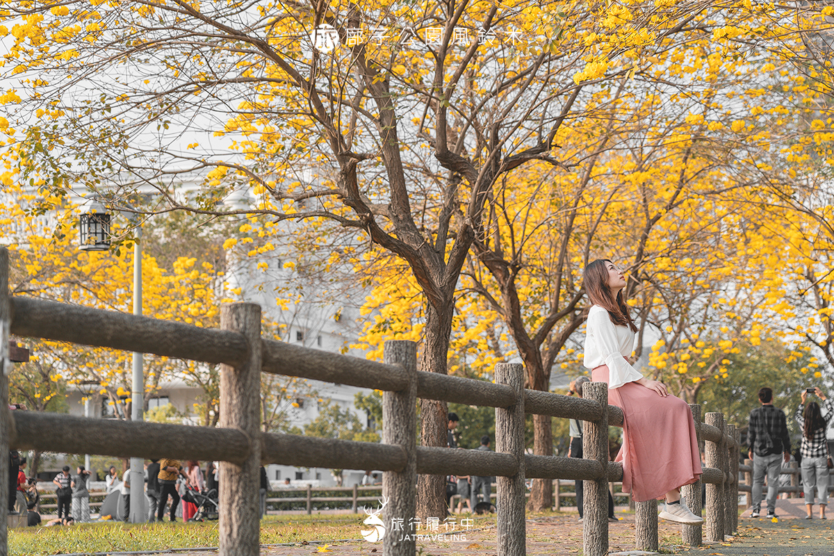 【台中景點推薦】廍子公園風鈴木，浪漫盛開宛如日本偶像劇般的場景