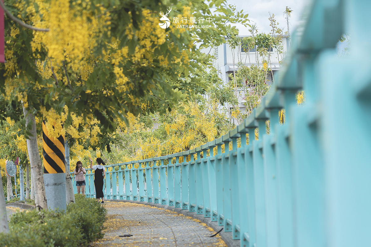 【南投景點推薦】福岡路阿勃勒，5、6月限定，當黃花落下在帝芬尼綠的欄杆上 - 五月, 六月 - 旅行履行中