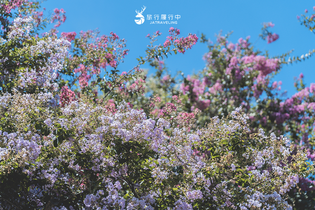 【彰化景點推薦】台灣銘園庭園美術館，宛如置身日式庭院的紫薇花限定美景 - 六月 - 旅行履行中