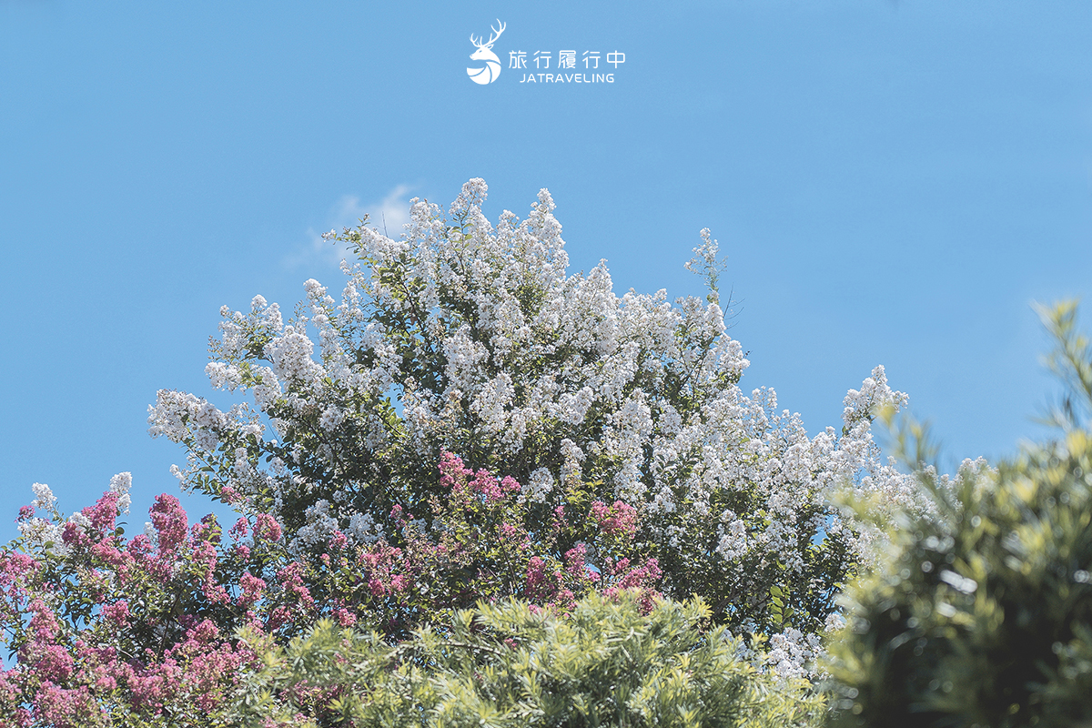 【彰化景點推薦】台灣銘園庭園美術館，宛如置身日式庭院的紫薇花限定美景 - 六月 - 旅行履行中