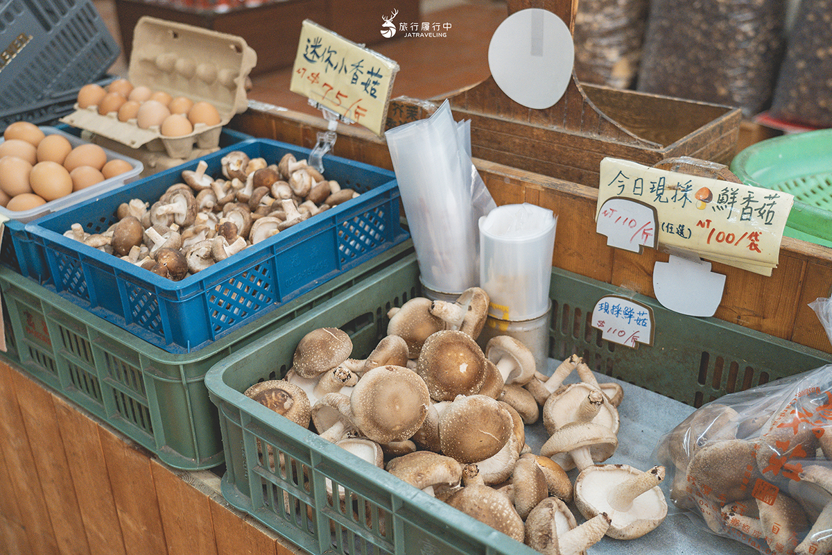 【台中景點推薦】新社百菇莊，一朵朵香菇超療癒，體驗採菇、種菇、品菇 - 旅行履行中