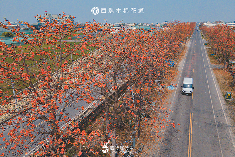 【雲林景點推薦】西螺木棉花道，150公尺的橘色花廊，三月熱情盛開！