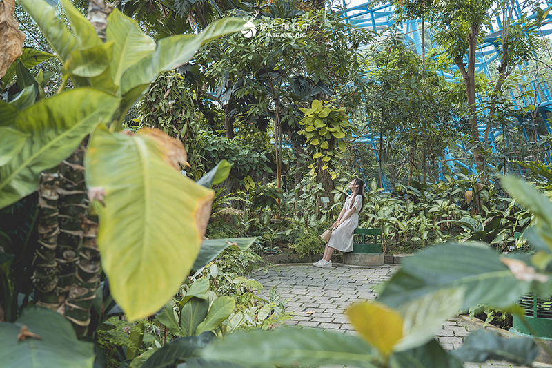 台中北區景點｜國立自然科學博物館植物園｜巨型蝴蝶迎賓，玻璃溫室裡孕育750種台灣原生種植物！ - 台中景點, 台中, 網美景點, 約會景點, 室內景點, 親子景點, 北區景點, 北區 - 旅行履行中