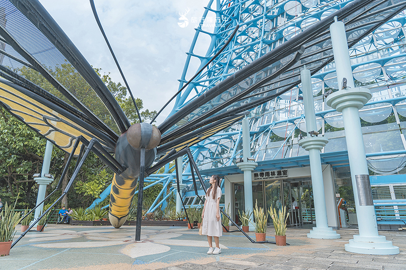 台中北區景點｜國立自然科學博物館植物園｜巨型蝴蝶迎賓，玻璃溫室裡孕育750種台灣原生種植物！ - 台中景點, 台中, 網美景點, 約會景點, 室內景點, 親子景點, 北區景點, 北區 - 旅行履行中