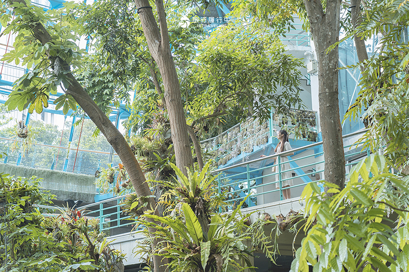 台中北區景點｜國立自然科學博物館植物園｜巨型蝴蝶迎賓，玻璃溫室裡孕育750種台灣原生種植物！ - 台中景點, 台中, 網美景點, 約會景點, 室內景點, 親子景點, 北區景點, 北區 - 旅行履行中