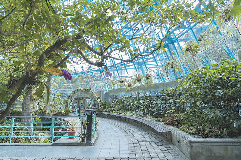 台中北區景點｜國立自然科學博物館植物園｜巨型蝴蝶迎賓，玻璃溫室裡孕育750種台灣原生種植物！ - 台中景點, 台中, 網美景點, 約會景點, 室內景點, 親子景點, 北區景點, 北區 - 旅行履行中