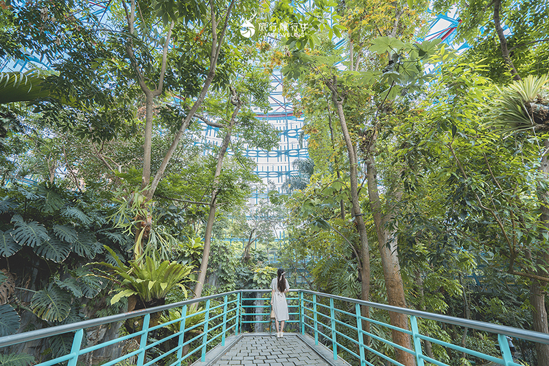 台中北區景點｜國立自然科學博物館植物園｜巨型蝴蝶迎賓，玻璃溫室裡孕育750種台灣原生種植物！ - 台中景點, 台中, 網美景點, 約會景點, 室內景點, 親子景點, 北區景點, 北區 - 旅行履行中