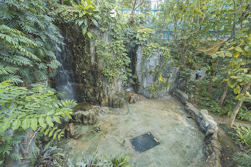 台中北區景點｜國立自然科學博物館植物園｜巨型蝴蝶迎賓，玻璃溫室裡孕育750種台灣原生種植物！ - 台中景點, 台中, 網美景點, 約會景點, 室內景點, 親子景點, 北區景點, 北區 - 旅行履行中