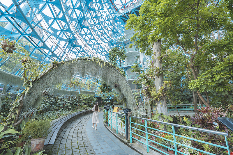 台中北區景點｜國立自然科學博物館植物園｜巨型蝴蝶迎賓，玻璃溫室裡孕育750種台灣原生種植物！ - 台中景點, 台中, 網美景點, 約會景點, 室內景點, 親子景點, 北區景點, 北區 - 旅行履行中