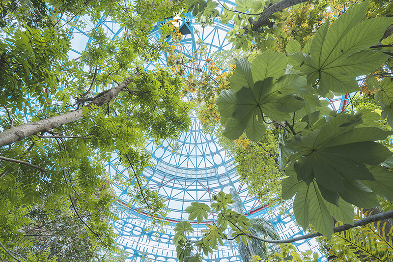 台中北區景點｜國立自然科學博物館植物園｜巨型蝴蝶迎賓，玻璃溫室裡孕育750種台灣原生種植物！ - 台中景點, 台中, 網美景點, 約會景點, 室內景點, 親子景點, 北區景點, 北區 - 旅行履行中