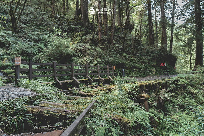 宜蘭大同景點｜見晴懷古步道：過往的「太平山森林鐵路」成為最美森林步道，冬季更成雪白世界！ - 宜蘭, 宜蘭景點, 網美景點, 約會景點, 大同, 親子景點, 戶外景點, 免費景點, 大同景點 - 旅行履行中