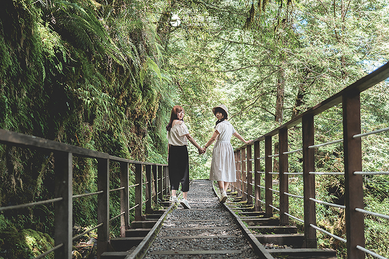 宜蘭大同景點｜見晴懷古步道：過往的「太平山森林鐵路」成為最美森林步道，冬季更成雪白世界！ - 宜蘭, 宜蘭景點, 網美景點, 約會景點, 大同, 親子景點, 戶外景點, 免費景點, 大同景點 - 旅行履行中