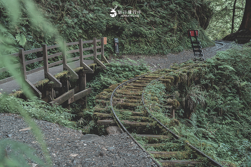 宜蘭大同景點｜見晴懷古步道：過往的「太平山森林鐵路」成為最美森林步道，冬季更成雪白世界！ - 宜蘭, 宜蘭景點, 網美景點, 約會景點, 大同, 親子景點, 戶外景點, 免費景點, 大同景點 - 旅行履行中