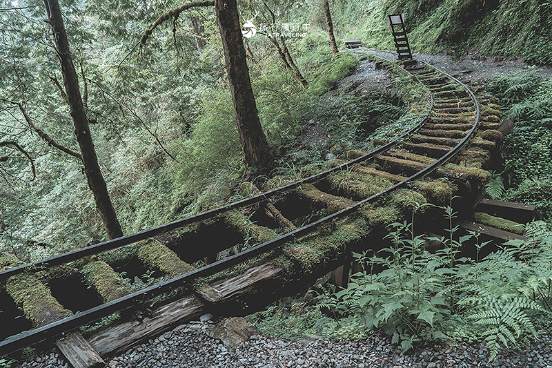 宜蘭大同景點｜見晴懷古步道：過往的「太平山森林鐵路」成為最美森林步道，冬季更成雪白世界！ - 宜蘭, 宜蘭景點, 網美景點, 約會景點, 大同, 親子景點, 戶外景點, 免費景點, 大同景點 - 旅行履行中