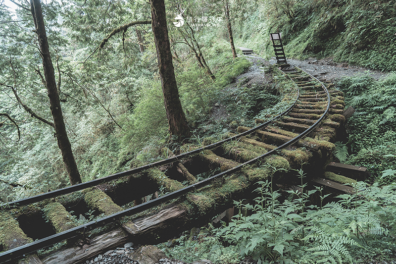 宜蘭大同景點｜見晴懷古步道：過往的「太平山森林鐵路」成為最美森林步道，冬季更成雪白世界！ - 宜蘭, 宜蘭景點, 網美景點, 約會景點, 大同, 親子景點, 戶外景點, 免費景點, 大同景點 - 旅行履行中