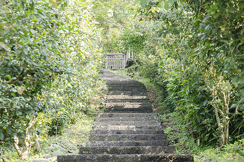 蘇澳景點｜七星嶺步道：蘇澳最親民登山步道，輕鬆眺望蘇澳市景、南方澳漁港 - 宜蘭, 宜蘭景點, 蘇澳, 戶外景點, 蘇澳景點 - 旅行履行中