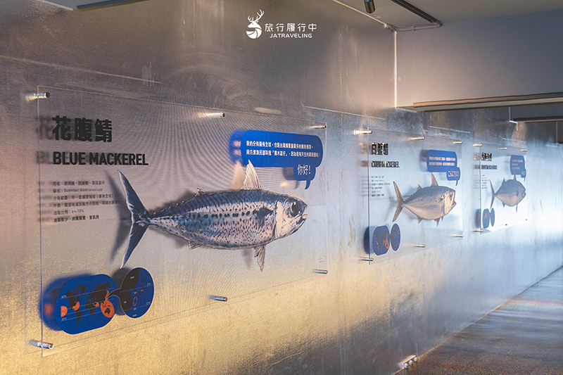 蘇澳景點｜大鯖魚夢工廠：體驗產地到餐桌，認識鯖魚、品嚐鯖魚、選購鯖魚！ - 宜蘭, 宜蘭景點, 蘇澳, 約會景點, 室內景點, 親子景點, 蘇澳景點 - 旅行履行中