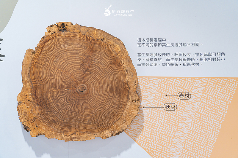 蘇澳景點｜森學苑：三十餘年木工廠轉型為木作文創，認識木頭、體驗木雕，打造獨一無二紀念品！ - 宜蘭, 宜蘭景點, 蘇澳, 網美景點, 約會景點, 室內景點, 親子景點, 蘇澳景點 - 旅行履行中