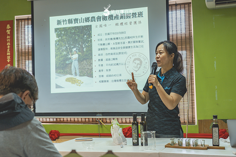 新竹這樣玩【寶山景點一日遊】跟著小農採收橄欖與甘蔗，品嚐一口蜜漬後的鹹酸甜 - 新竹景點, 新竹, 新竹一日遊, 寶山, 寶山景點 - 旅行履行中