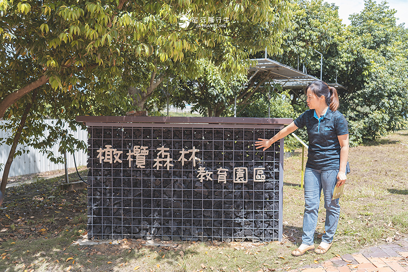 新竹這樣玩【寶山景點一日遊】跟著小農採收橄欖與甘蔗，品嚐一口蜜漬後的鹹酸甜 - 新竹景點, 新竹, 新竹一日遊, 寶山, 寶山景點 - 旅行履行中